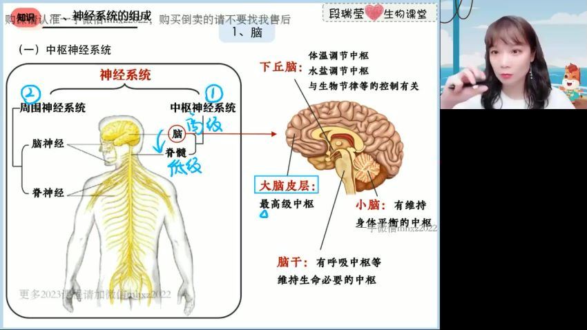 2023高二高途生物段瑞莹暑假班 (1.85G)