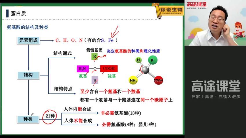 徐京2022高考生物一轮