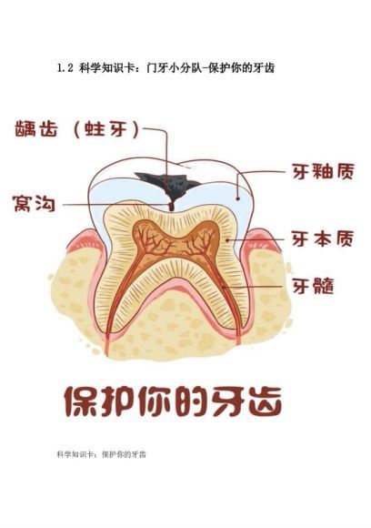 喜马拉雅少儿：凯叔神奇图书馆第一季 (4.11G)