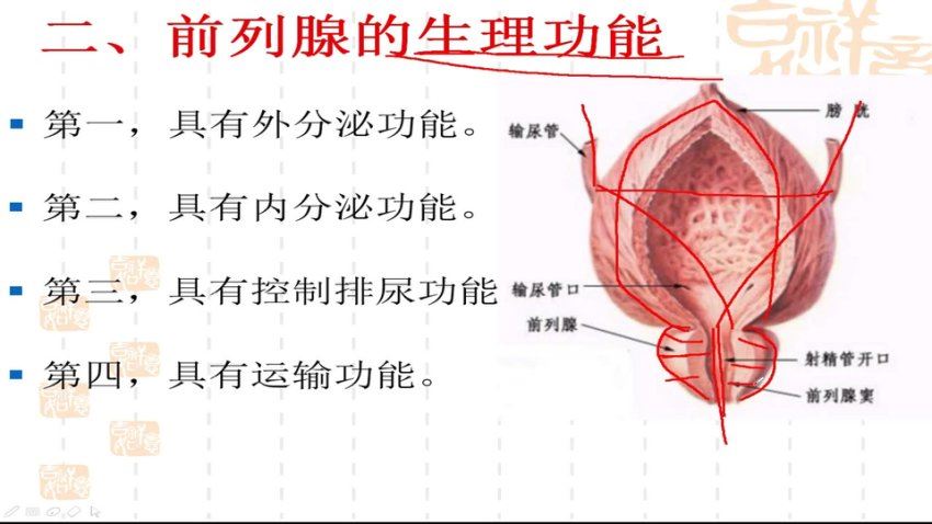 党东旭合集 (4.98G)