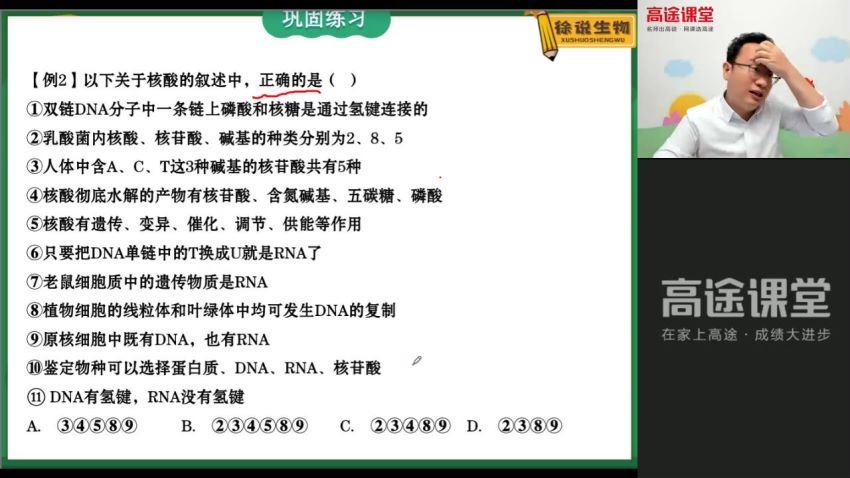2022高三高途生物徐京暑假班（全国卷） (2.37G)