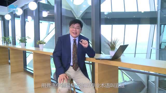 壹心理：0基础入门心理咨询 60堂启蒙课领你进入心理咨询的大门 (6.46G)