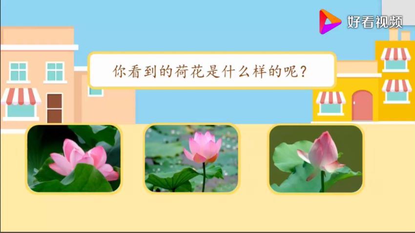 小学语文 1-60 看图写话低年级