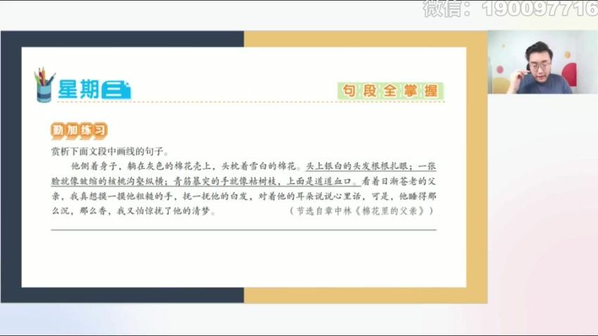 学而思希望学：【完结】【2023秋】六年级语文校内VIP学习卡 (3.15G)