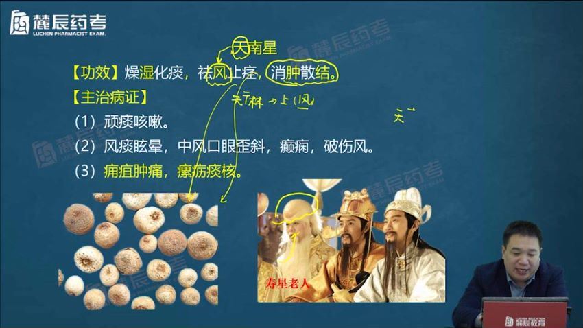 2022医学考试敬之药考（麓辰）：执业中药师 (18.89G)