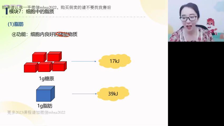2023高一高途生物马阳洋暑假班 (1.85G)