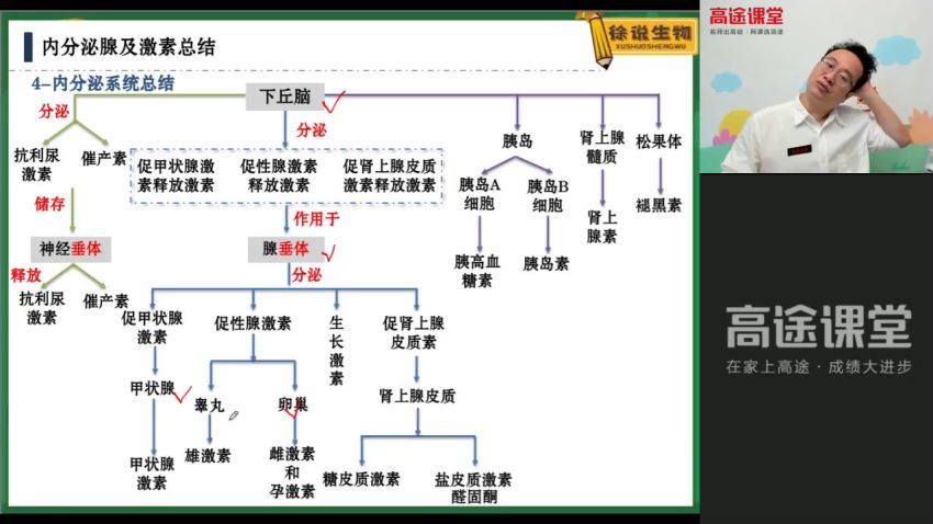 2022高三高途生物徐京秋季班（全国卷） (4.33G)