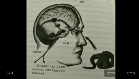 荔枝人际交往1期：听完这十本书，从此告别低情商（标清视频） (799.01M)