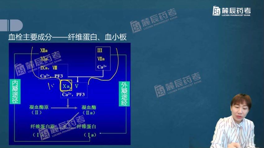 2022医学考试敬之药考（麓辰）：执业西药师 (11.87G)