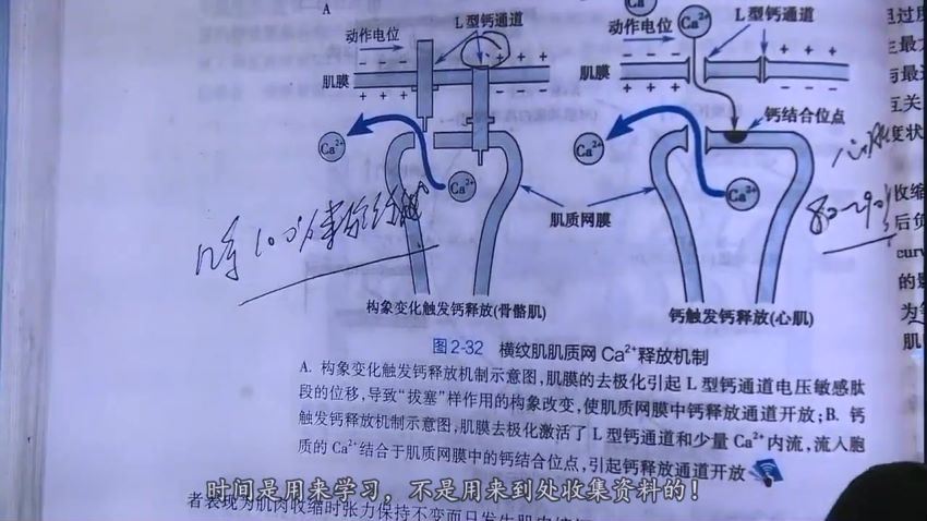 2023考研西医综合：【名师精品】改命-冲刺课程！ (102.88G)