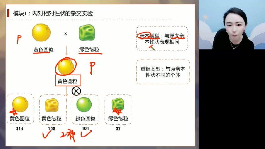 2024高二高途马阳洋生物春季班 (4.89G)