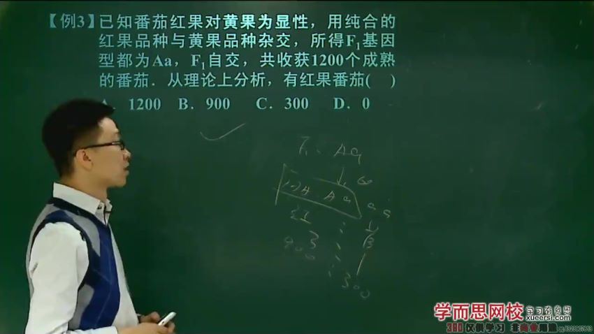 高阳高中生物必修2目标满分班（人教版）19讲 (2.25G)