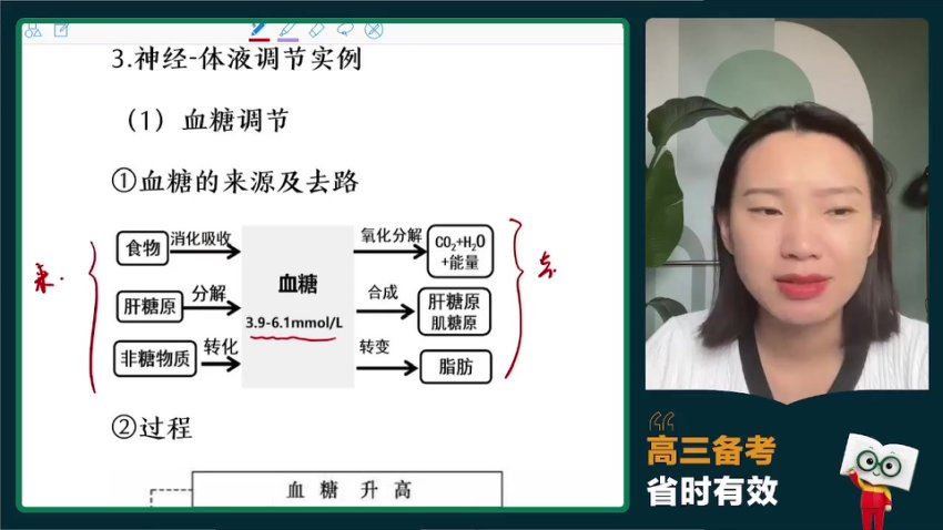 2024高三生物毛慧一轮秋季班 (7.87G)