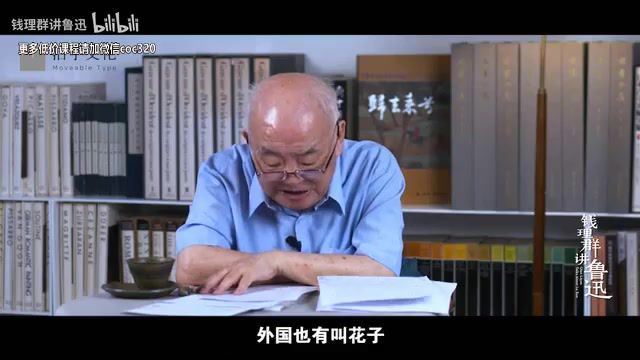 B站·北大钱理群教授讲鲁迅（完结） (2.42G)