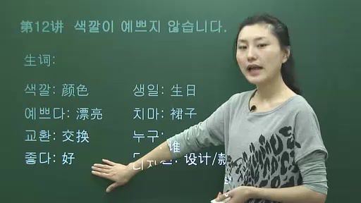 林老师韩语基础12课（736M标清视频） (738.75M)