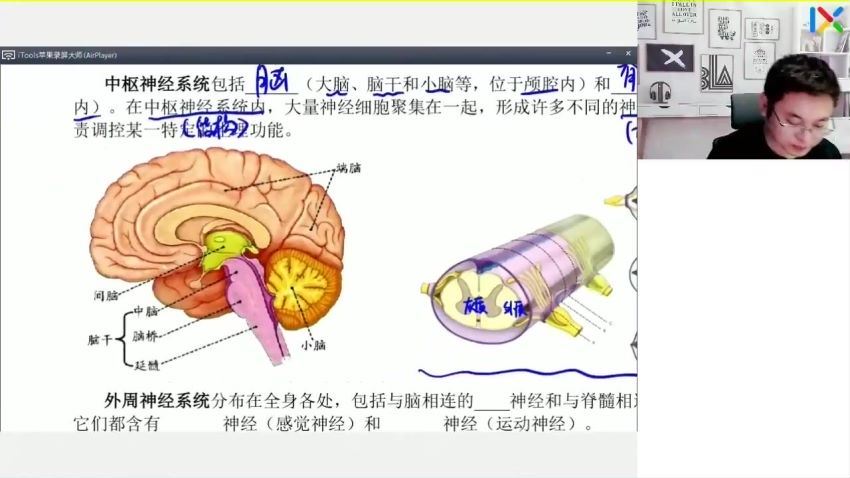2023高二乐学生物任春磊暑假班（完结） (5.30G)
