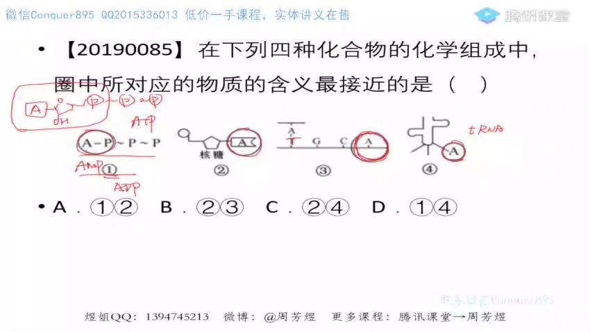 2022高三腾讯课堂生物周芳煜二轮 (19.64G)