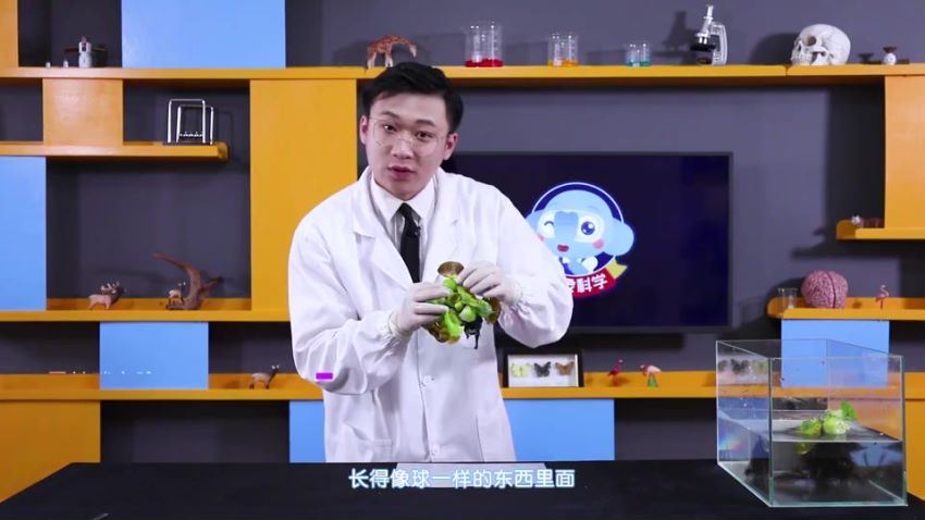 小象科学三年级上同步科学课（59节）（960×540视频） (1.36G)