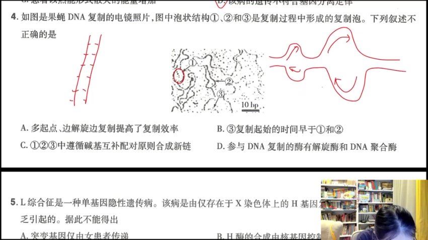 2024高三周芳煜生物一轮暑秋 (23.24G)
