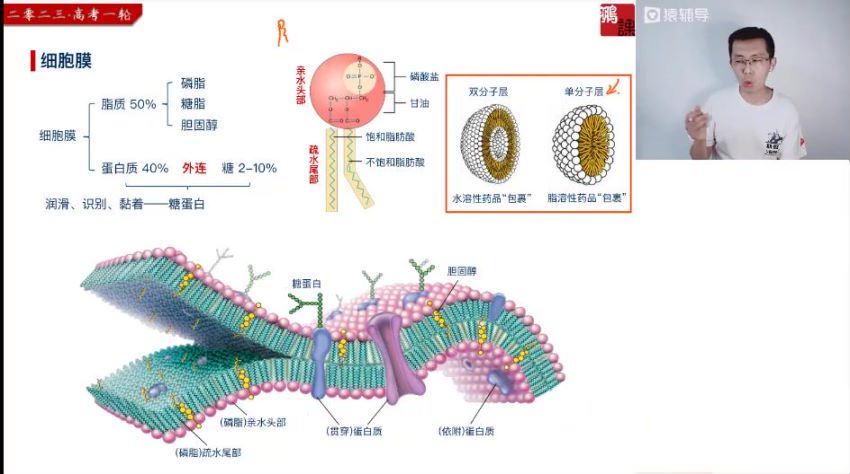 2023高三猿辅导生物张鹏一轮暑假班 (8.76G)