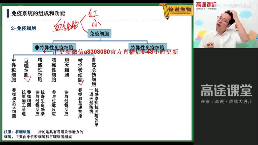 2022高三高途生物徐京秋季班（全国卷） (4.33G)