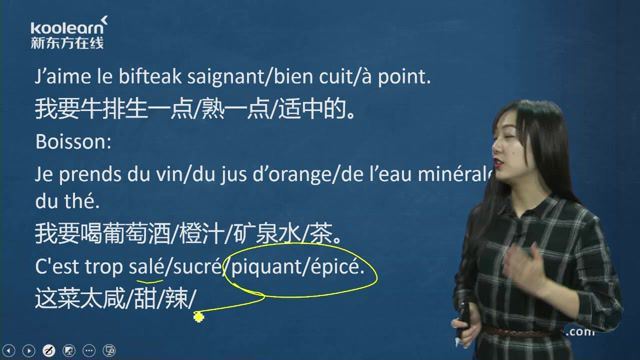 新东方日常法语口语交际（17课时）（1.31G标清视频） (1.31G)