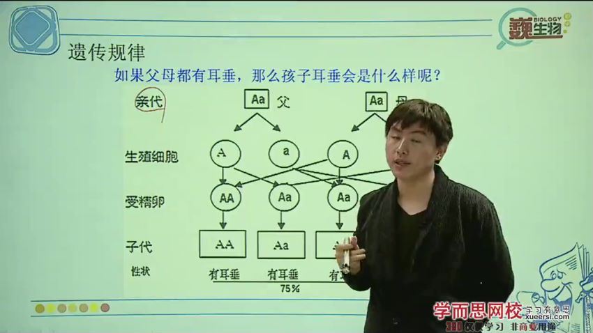 【39811】新初三科学年卡尖子班（浙教版）——生物篇 【27讲陆巍巍】 (3.84G)