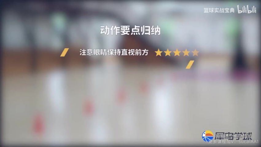 B站精品课：CBA10冠王训练师教你从0学篮球 (517.21M)