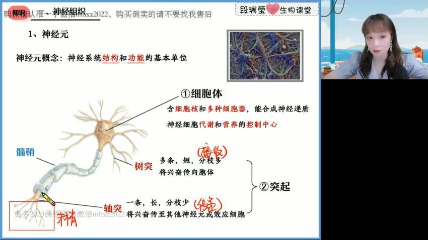 2023高二高途生物段瑞莹秋季班 (3.75G)