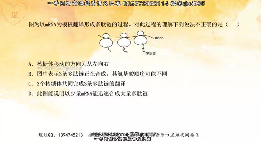 2023高三腾讯生物周芳煜千题册基础版 (2.99G)