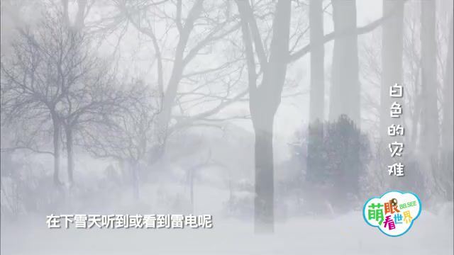 小灯塔学堂：萌眼看世界《大百科》 (10.48G)