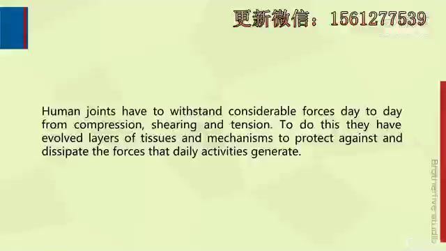 英语笔译考试“套路”三十二讲（完结） (8.60G)