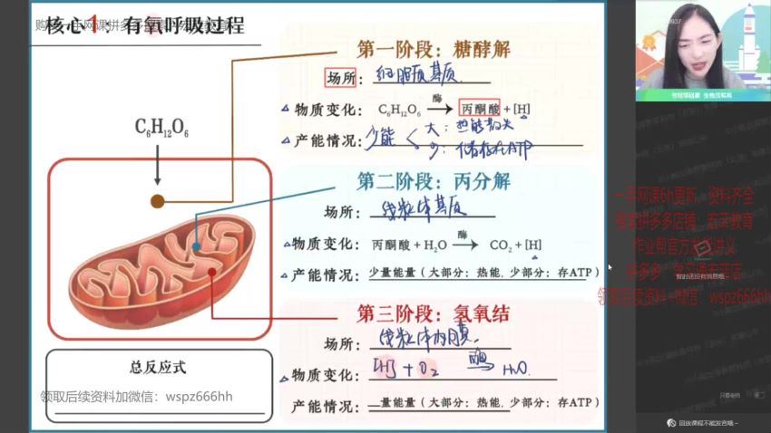 2022高二作业帮生物杨雪寒假班（尖端） (5.71G)
