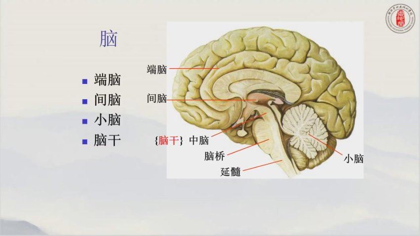 魏晓辉魏氏中医调理心脑血管疾病 十六期 (2.07G)