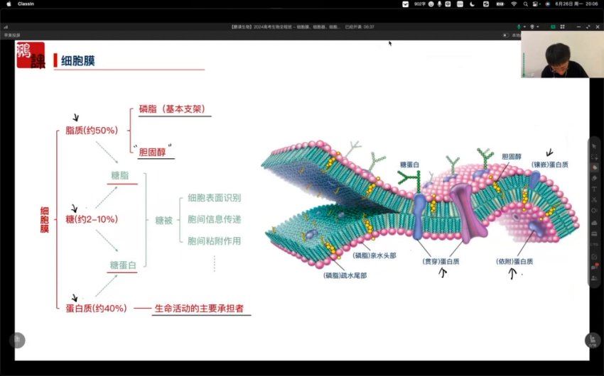 2024高三张鹏生物一轮暑假班 (8.72G)