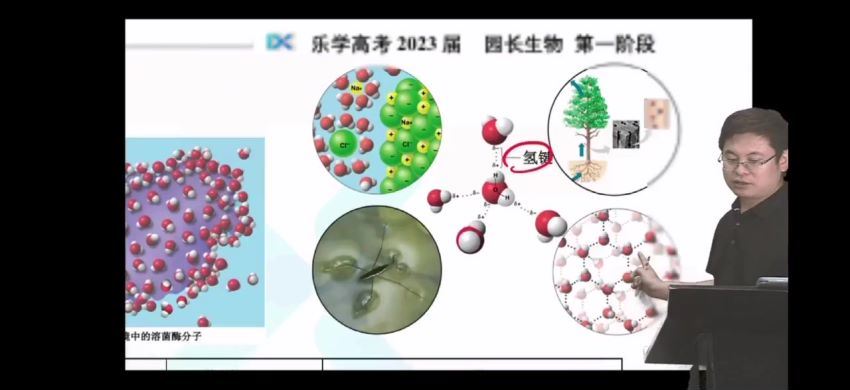 2023高三乐学生物任春磊第一阶段(一轮) (11.57G)