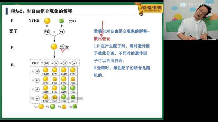 2022高一高途生物徐京春季班 (2.31G)