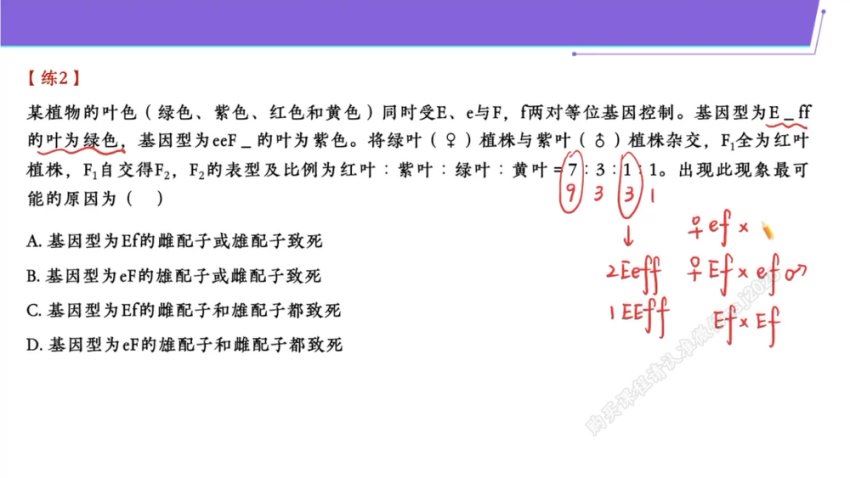 2024高三谢一凡生物二轮春季班（A） (7.11G)