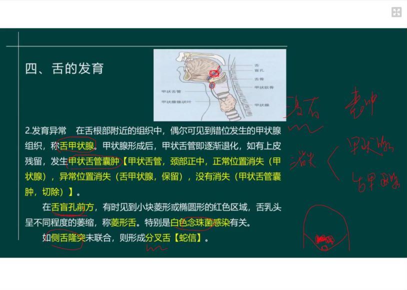 2022医学考试星恒教育：口腔执业（助理）医师 (17.47G)