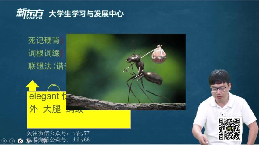 2023年6月英语四级：东方四级全程班[王江涛] (45.53G)