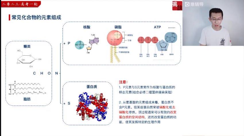 2023高三猿辅导生物张鹏一轮暑假班 (8.76G)