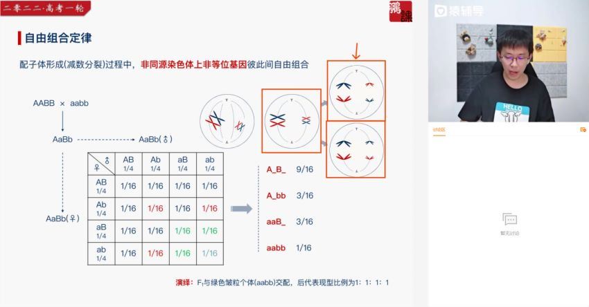 2022高三猿辅导生物张鹏A+班秋季班（A+） (29.03G)