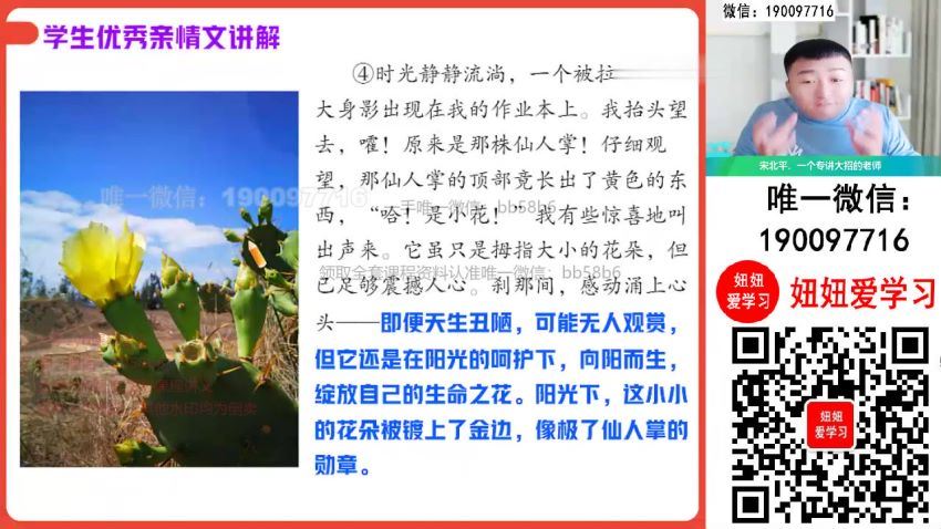 【2022秋】初三语文秋季A+班 宋北平 (15.64G)