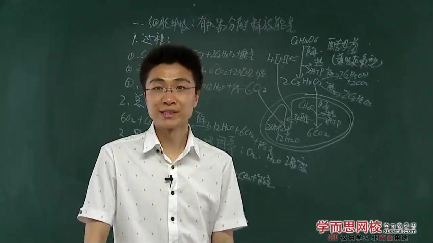 高一生物必修年卡-必修1、2（人教版）【高阳70讲】 (10.19G)