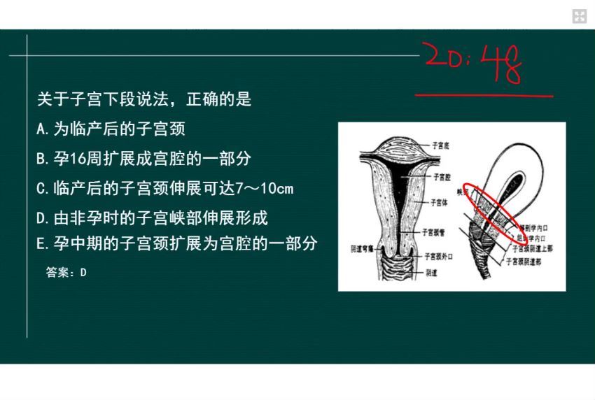 2022医学考试星恒教育：临床执业（助理）医师 (39.76G)