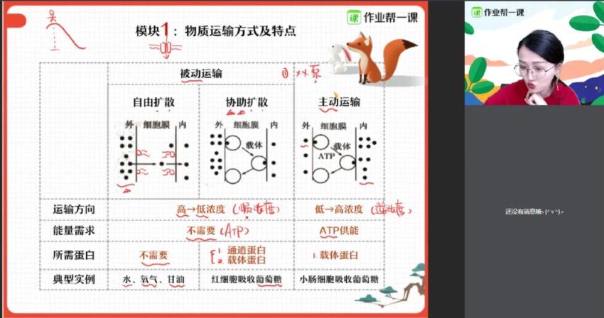 段瑞莹2019高一生物秋尖端班 (12.24G)