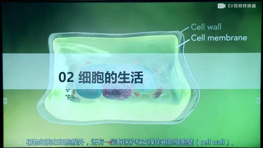 2020年暑假秋季2021寒假春季初中一年级生物培训班（勤思班）李嘉津 (17.29G)