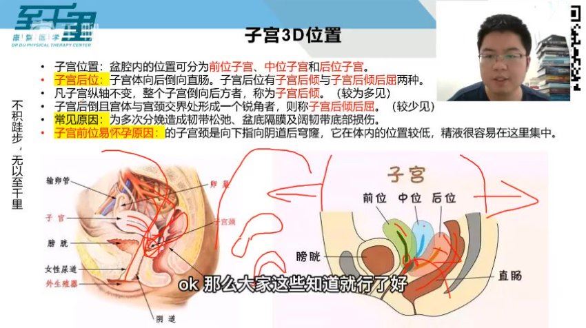 杜亚洲~内脏手法调理术理论加实操50课完整版视频课程 4.71G (4.63G)