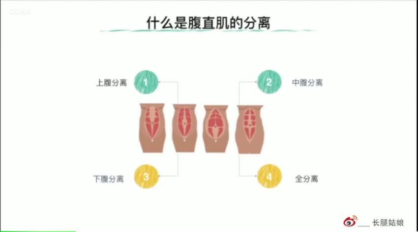 缩腰攻略 腹直肌的核心修复 (354.93M)