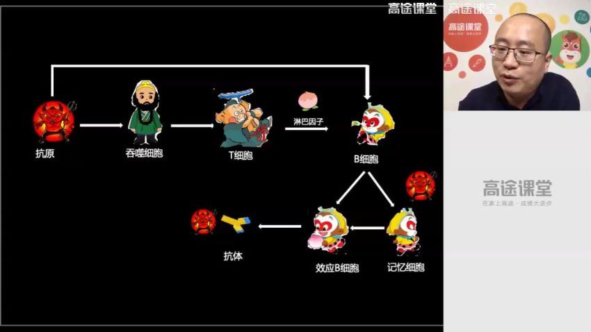 高途2020高二生物徐京秋季班（高清视频） (4.09G)